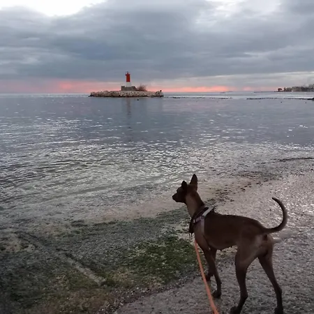 La Muralla Appartamento Villajoyosa